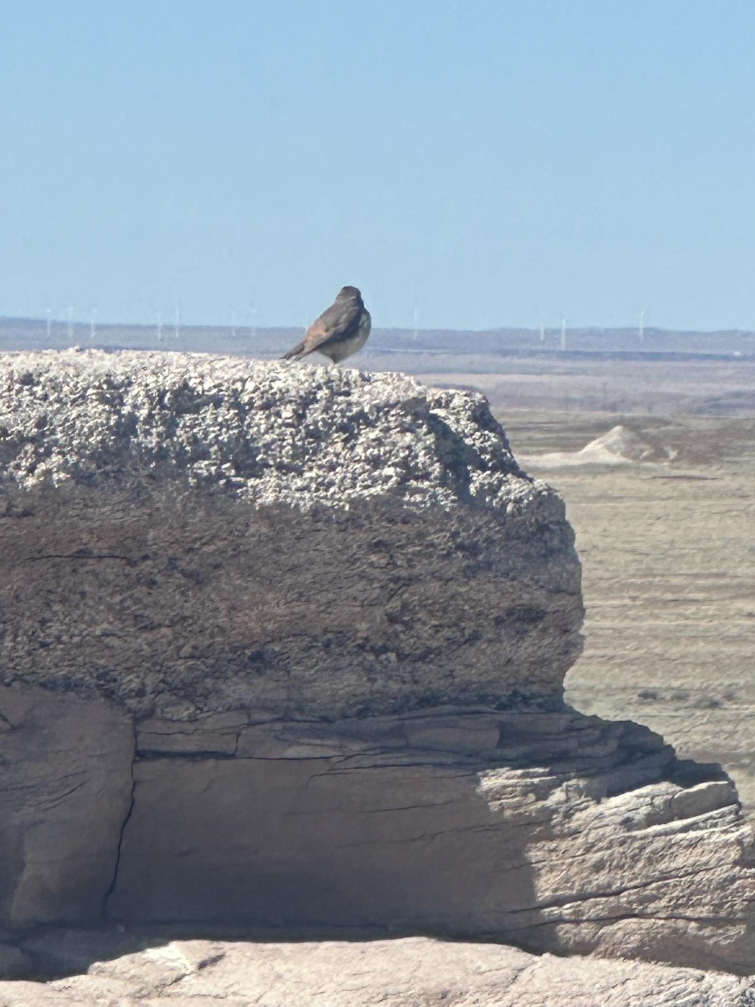 United States-National Parks-Other - Image 589